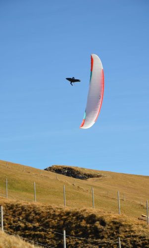 WhatsApp Image 2025-09-23 at 18.37.38