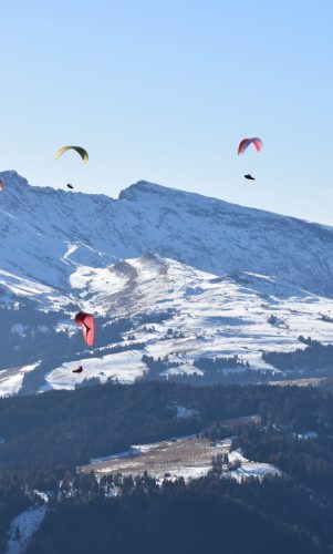 WhatsApp Image 2025-09-23 at 18.45.12